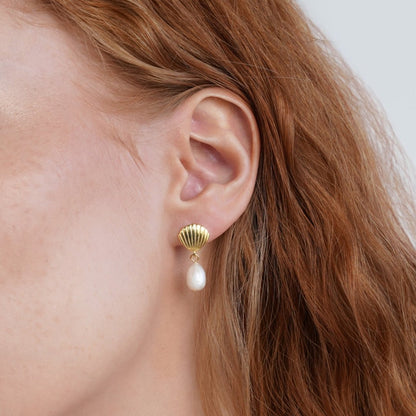 Freshwater Pearl and Gold-Tone Shell Earrings