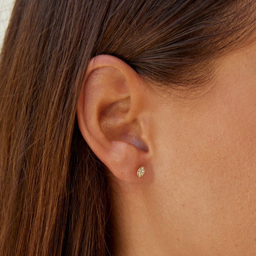 Gold-Tone Montana Studs
