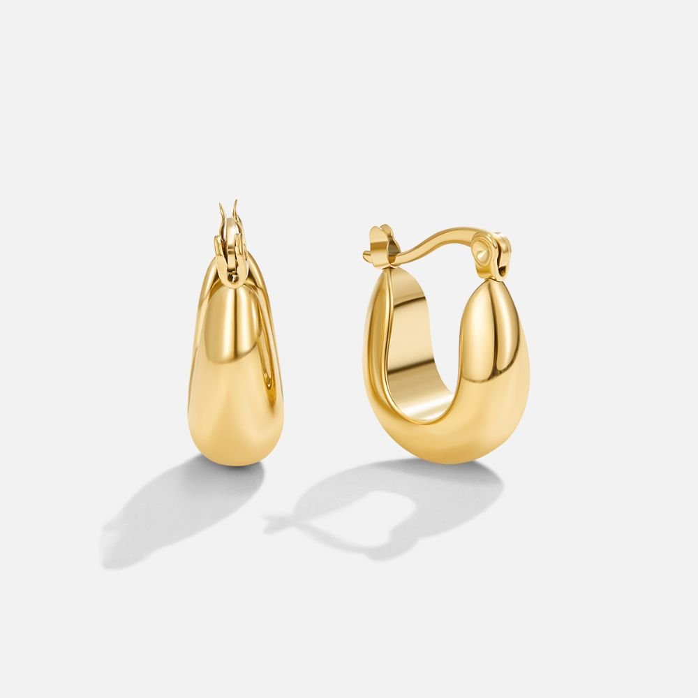 Serenity Gold-Tone Hoop Earrings