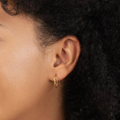 Maria Twisted Semi-Hoops