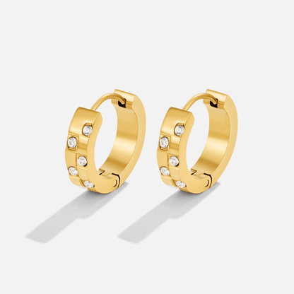 Tasha Crystal Gold-Tone Hoop Earrings